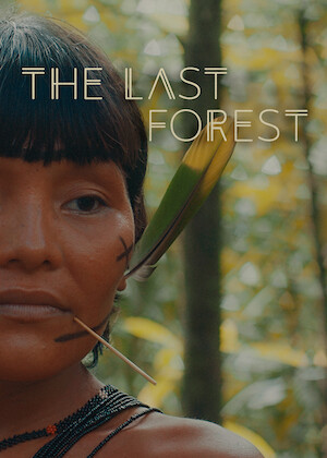 The Last Forest